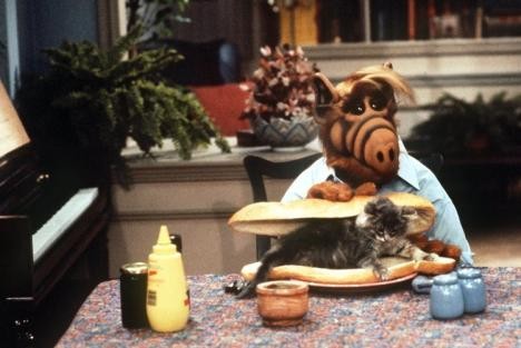 ALF si prepara un sostanzioso e singolare spuntino.