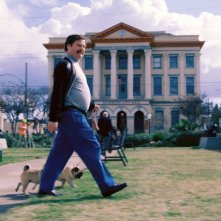 Zach Galifianakis a passeggio in Candidato a sorpresa