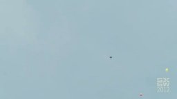 Trailer - The Black Balloon