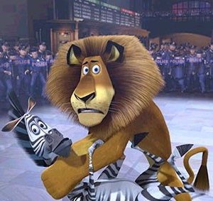 Alex e Marty in una scena di Madagascar