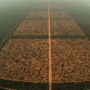 El impenetrable: un'immagine dall'alto del film di Daniele Incalcaterra sulla regione paraguayana del Chaco