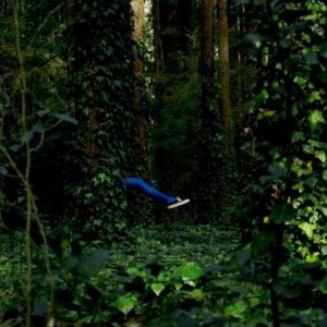 Leones: una bizzarra scena del film