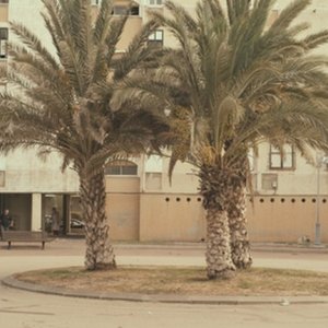 The Cutoff Man: un'immagine del film