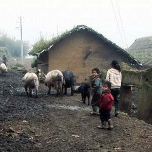 Three Sisters: un'immagine del documentario