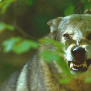 I padroni di casa: una scena tratta dal film