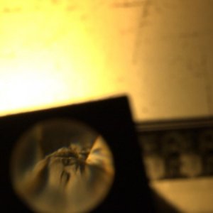 L'uomo che amava il cinema: una scena del documentario che omaggia Piero Tortolina