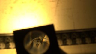 L'uomo che amava il cinema: una scena del documentario che omaggia Piero Tortolina