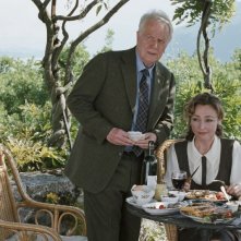 Catherine Frot e André Dussollier sono i protagonisti di Associés contre le crime (2012)