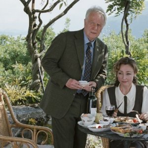 Catherine Frot e André Dussollier sono i protagonisti di Associés contre le crime (2012)