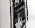 The Story of Film a Firenze