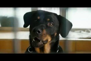 Trailer - Mann tut was Mann kann