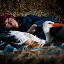 Il comandante e la cicogna: Luca Dirodi in una scena del film