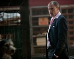 Woody Harrelson protagonista del film Shock and Awe diretto da Reiner?