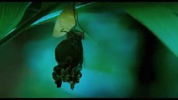 Trailer - Die Vermessung der Welt