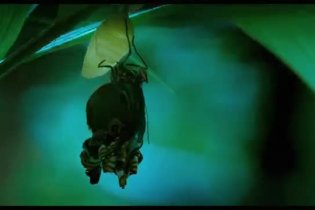 Trailer - Die Vermessung der Welt