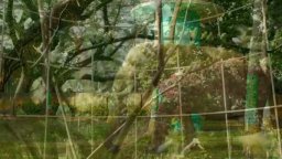 Trailer Internazionale - Life of Pi