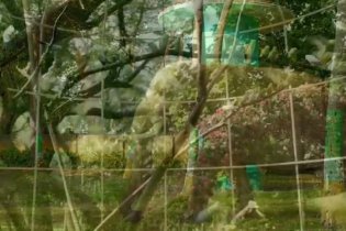 Trailer Internazionale - Life of Pi