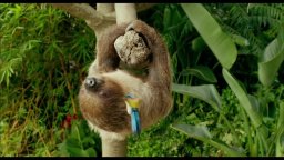 Trailer Italiano 2 - Vita di Pi