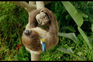 Trailer Italiano 2 - Vita di Pi