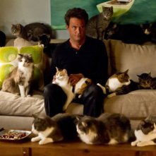 Go On: Matthew Perry nell'episodio He Got Game, She Got Cats