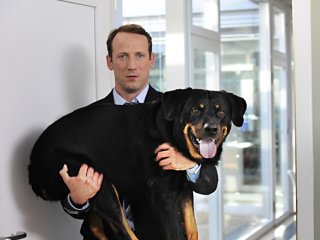 Mann tut was Mann kann: Paul (Wotan Wilke Möhring) con il cane Fred