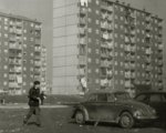 Moving TFF 2012: aspettando il Torino Film Festival