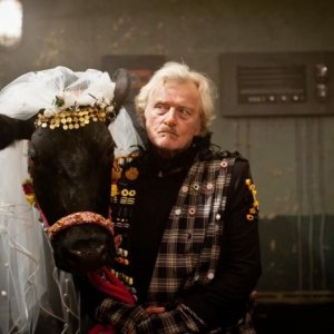 Rutger Hauer con la mucca Benita in Agent Ranjid rettet die Welt