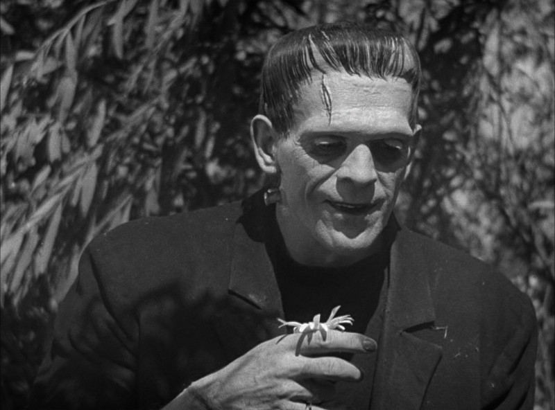 Frankenstein: Boris Karloff in una sequenza del film