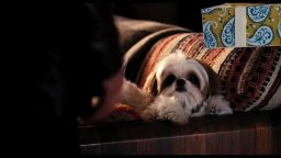 Trailer Italiano - 7 psicopatici