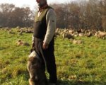 European Film Awards 2012: i tre documentari nominati