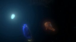 Video-recensione Alla ricerca di Nemo in 3D