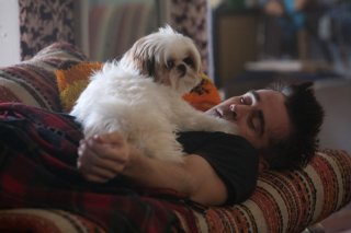 7 psicopatici: Colin Farrell con Bonny in una simpatica scena del film