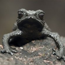 One Life Un Immagine Del Documentario 255998