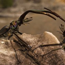 One Life Un Immagine Del Film 256006