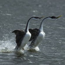 One Life Una Scena Del Film 256026