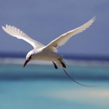 One Life Una Scena Tratta Dal Documentario 256022