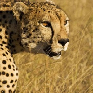 One Life: una scena tratta dal film