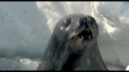 Trailer Italiano - One Life