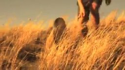 Trailer - Melina - Con rabbia e con sapere