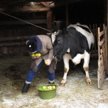Spose celesti dei mari di pianura: una scena tratta dal film