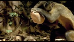 Video-recensione One Life