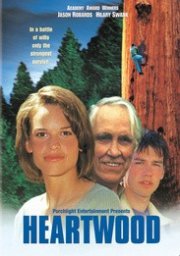 Il cuore della foresta: la locandina del film