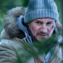 Liam Neeson in un primo piano tratto da The Grey