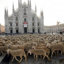 Pecore davanti al Duomo di Milano sul set de L'ultimo pastore di Marco Bonfanti