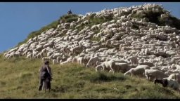 Trailer - L'ultimo pastore