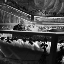 Blancanieves: una scena funebre del film