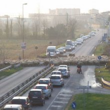 L'ultimo pastore: il gregge di pecore di Renato Zucchelli verso Milano blocca il traffico