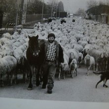 L'ultimo pastore: il pastore Renato Zucchelli da giovane in una scena del film