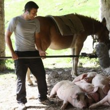 L'ultimo pastore: una foto dal set