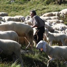 L'ultimo pastore: una scena del film